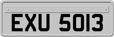 EXU5013