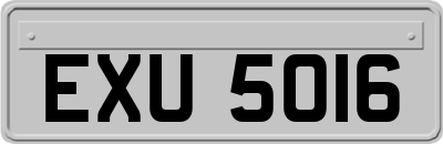 EXU5016