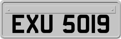 EXU5019