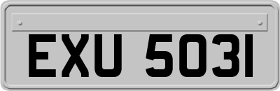 EXU5031