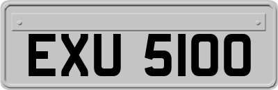EXU5100