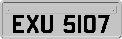 EXU5107