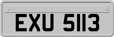 EXU5113