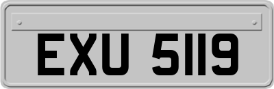 EXU5119