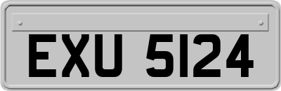EXU5124