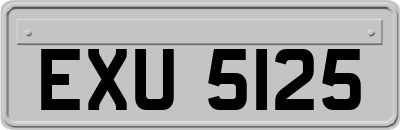 EXU5125