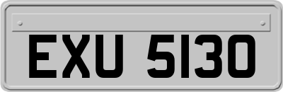 EXU5130