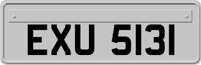 EXU5131