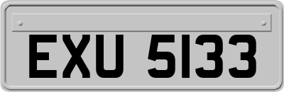 EXU5133