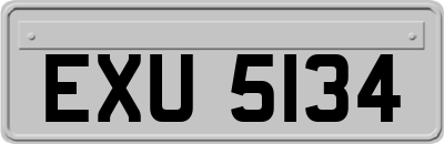 EXU5134