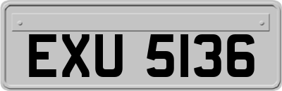 EXU5136