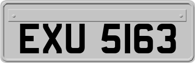 EXU5163