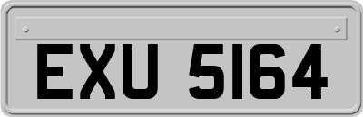 EXU5164
