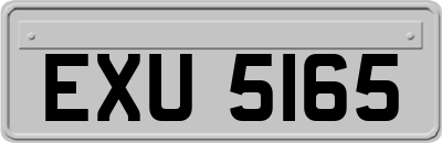 EXU5165