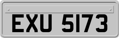 EXU5173