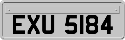 EXU5184