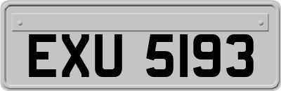 EXU5193
