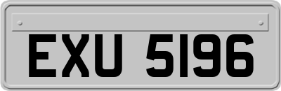 EXU5196