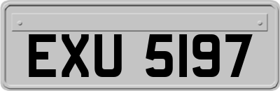 EXU5197