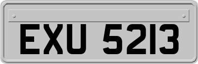 EXU5213