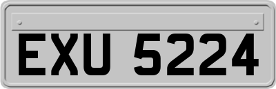 EXU5224