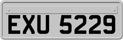 EXU5229
