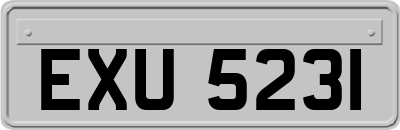 EXU5231