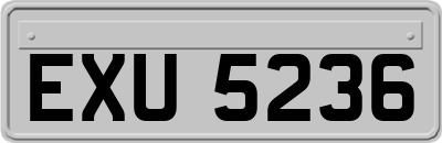 EXU5236