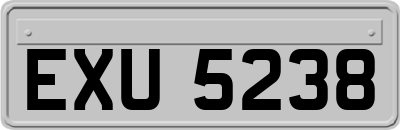 EXU5238