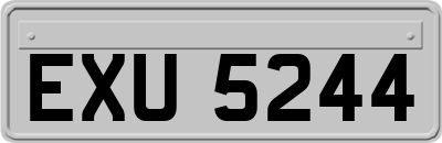 EXU5244