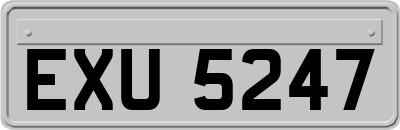 EXU5247