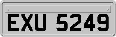 EXU5249