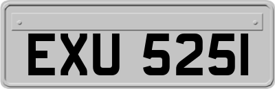 EXU5251