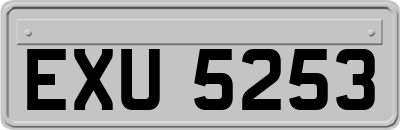 EXU5253