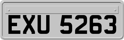 EXU5263