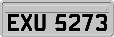 EXU5273