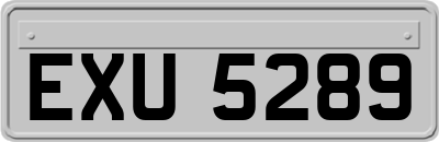EXU5289