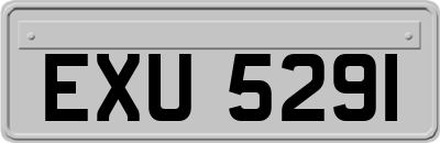 EXU5291