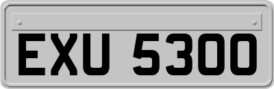 EXU5300