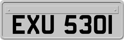 EXU5301