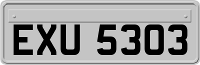 EXU5303