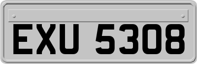 EXU5308