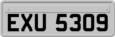 EXU5309