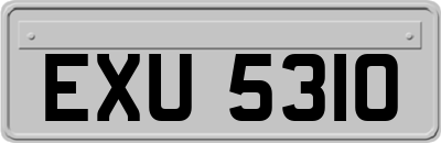 EXU5310
