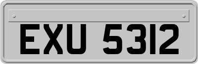 EXU5312