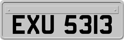 EXU5313