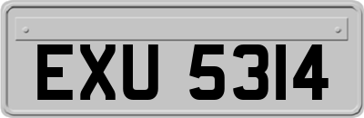 EXU5314