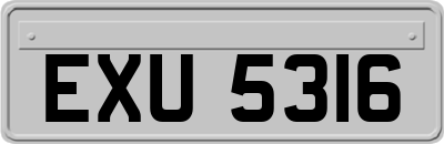 EXU5316