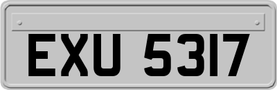 EXU5317