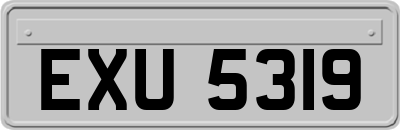 EXU5319